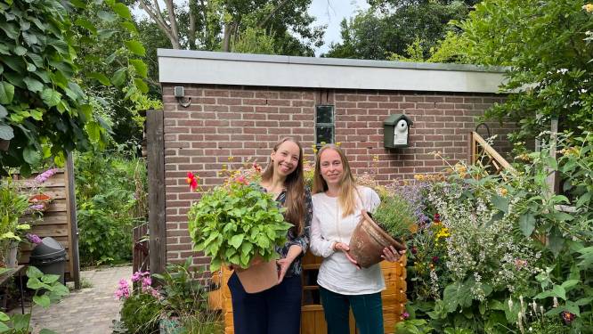 Je tuin vergroenen hoeft niet duur te zijn, bewijzen Rachel en Marieke 