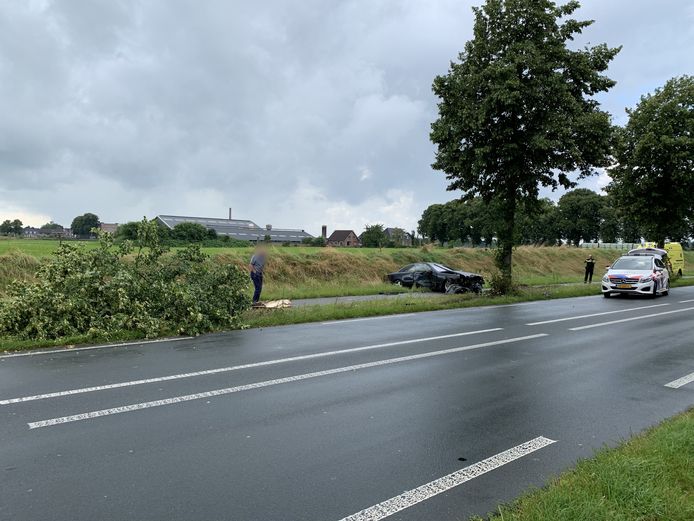 Een man kijkt naar een omvergereden boom langs de N317 tussen Ulft en Silvolde. De zwaar beschadigde auto kwam verderop tot stilstand.