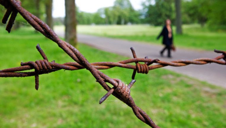 Prikkeldraad in Kamp Westerbork. De bevrijding van Kamp Westerbork wordt maandag herdacht. Het is precies 65 jaar geleden dat de Canadezen Westerbork bevrijdden. Foto ANP Beeld 