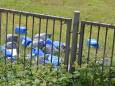 Meerdere vaten en vuilniszakken gedumpt in grasveld in Breda