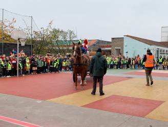 Sinterklaas met paard en kar naar Gemeentelijke Basisschool De Bosrank in Zingem