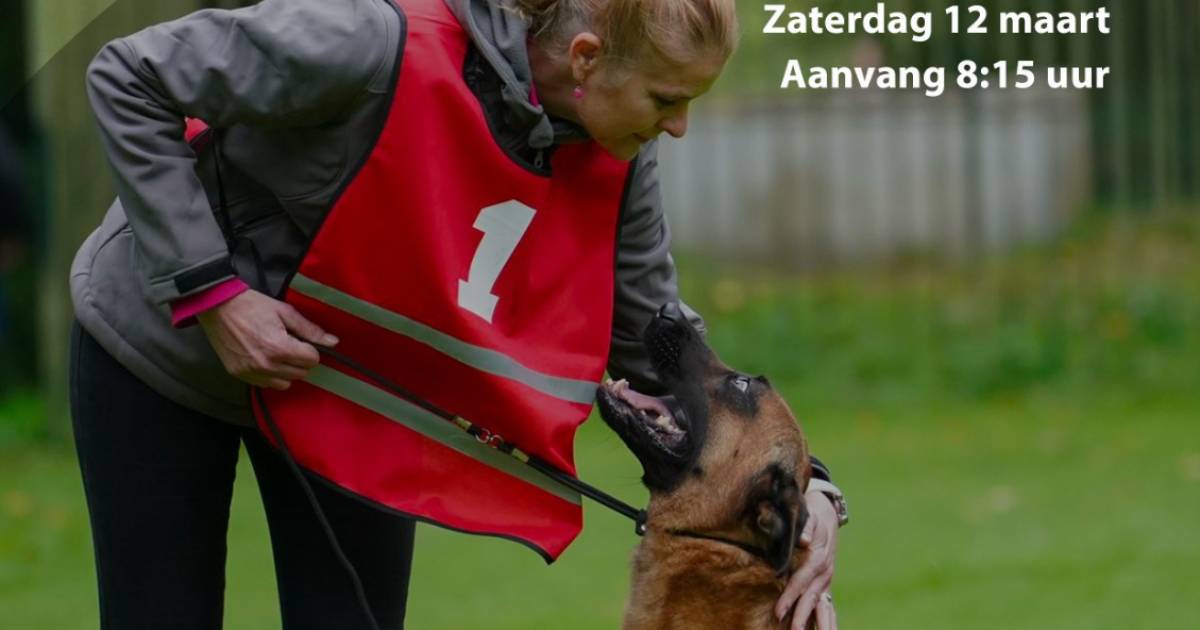Landelijke top laat in Haghorst zien wat speurhonden allemaal kunnen komend weekend