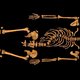 Rechter beslist: skelet Richard III wordt herbegraven
