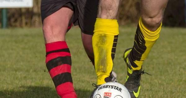 Lunch bij trainer resulteert in dikke overwinning Merlijn - BD.nl