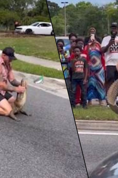 Un vétéran de l’armée américaine, adepte de MMA, capture un alligator à mains nues en Floride