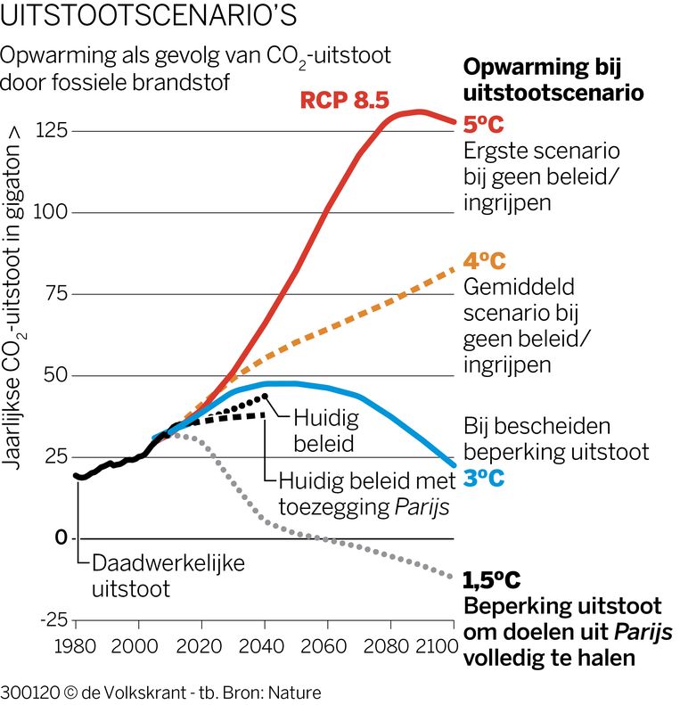 null Beeld 