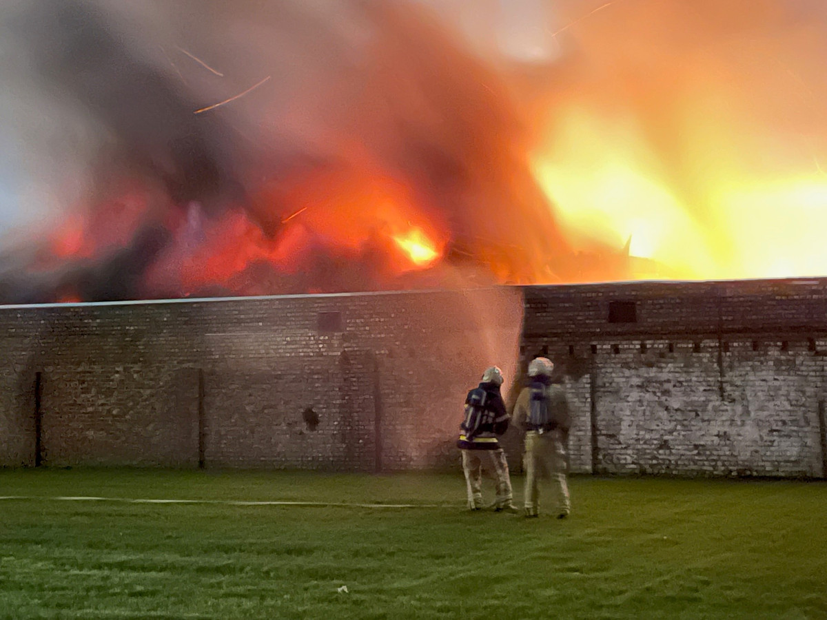 De brand in de  Gulden Peerdenstraat was hevig.