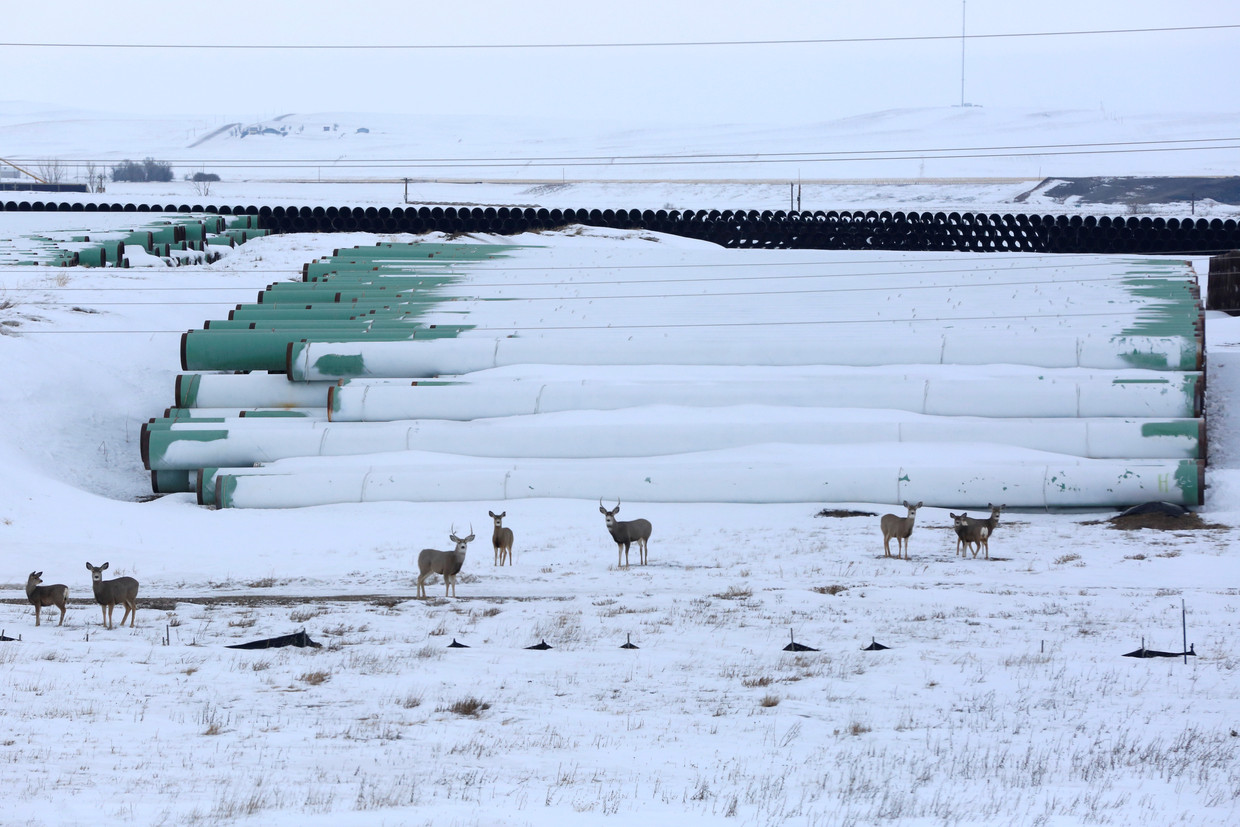 Een opslag van pijpleidingen voor de omstreden Keystone XL pijplijn tussen Canada en de VS.  Beeld REUTERS