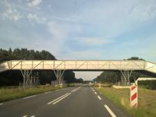 Een Lowlandsbrug, maar dan bij Paleis Soestdijk: is dit hoe massa’s bezoekers straks de weg over gaan?