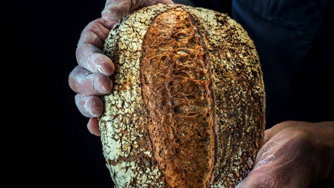 Brood van Achterhoeks meel dat ‘smaakt als een gebakje’ gaat op voor wereldtitel in Parijs
