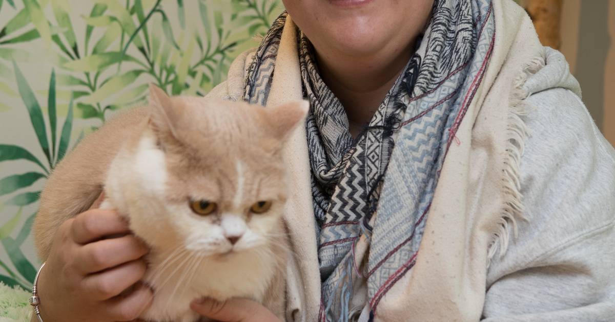 Huiselijke opvang PoesPas Den Nul