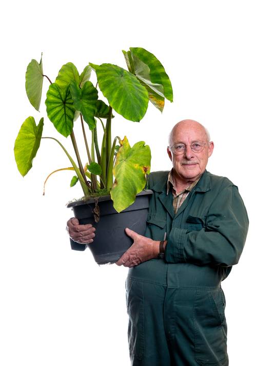 Romke van de Kaa.