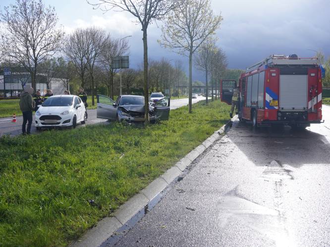 Auto tegen een boom in Zwolle: vrouw gewond naar het ziekenhuis