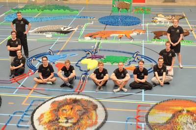 Na 14 minuten geratel een nieuw domino-record