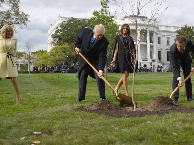 Republikeinen willen biljoen bomen planten tegen klimaatverandering, ook Trump is voorstander