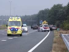 Man (33) vlucht na ruzie in ‘gestolen auto’ en bijt agent tijdens arrestatie op A50 bij Beekbergen 