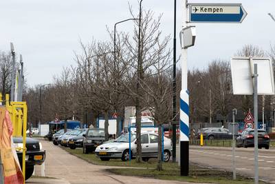 35 paardenkastanjes aan Randweg-Zuid in Budel leggen het loodje; ook de bijl in 12 lindes in Schoot