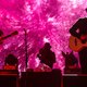 Concertreview: Angus & Julia Stone op Rock Werchter 2018