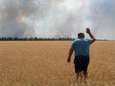 Oorlog verwoest Oekraïense graanteelt: “Ze steken velden in brand en schieten op boeren”