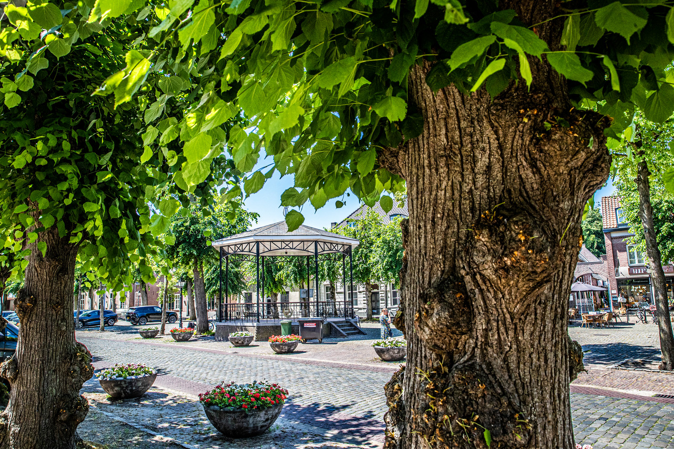 Bomen in Eersel worden nog onderzocht ‘Voor het aanzien van de Markt