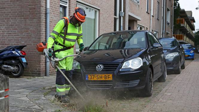 ‘Onkruid? Wen in Gorinchem maar aan het idee dat het er altijd zal staan’