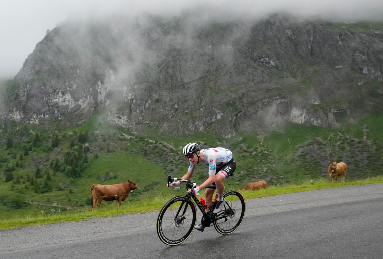 De Sloveen Tadej Pogacar ruikt bloed op de flanken van de Col de Colombière.  Beeld AP