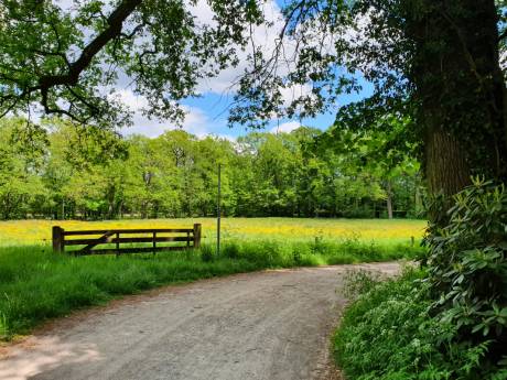 Naar buiten! 6 x wandelroutes in Enschede en omgeving