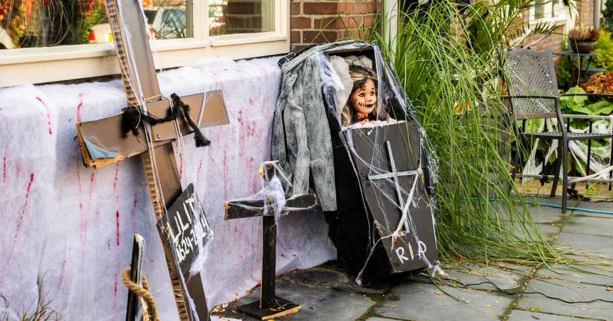 Bewoners ‘halloweenhuis’ ondergebracht in hotel na incidenten, burgemeester: ‘We nemen dit serieus’