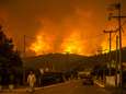 IN BEELD. Branden blijven Grieks eiland Evia teisteren, duizenden inwoners geëvacueerd: “We zijn alleen. Ons einde is nabij”