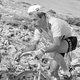 50 jaar na de fatale Tour: hoe Tom Simpson slachtoffer werd van Brits geklungel