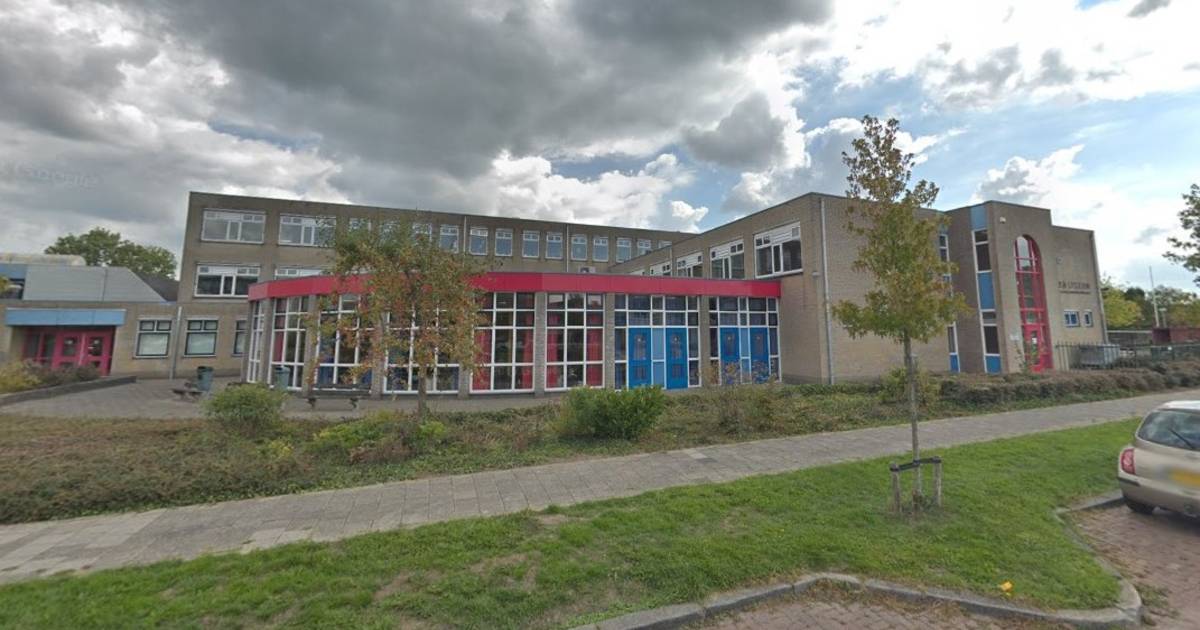 Nieuwe rector/bestuurder bij Ostrea Lyceum Bevelanden pzc.nl