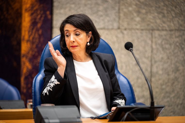 Arib had iets kunnen zeggen over de pijn die mensen binnen en buiten de Kamer kennelijk ervaren - Vo