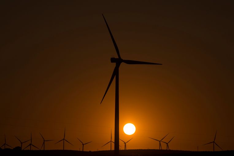 Een windmolenpark nabij het Spaanse Malaga. Beeld AFP