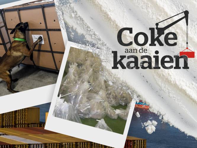 Gestolen pincodes, afluisterapparatuur in computers en het ‘switchen’ van containers: zo geraakt de coke in Antwerpen in de ‘juiste’ handen