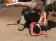VIDEO. Opnieuw ophef rond politiegeweld in de VS: agenten slaan hoofd van 15-jarige hard tegen de grond en kloppen nog na