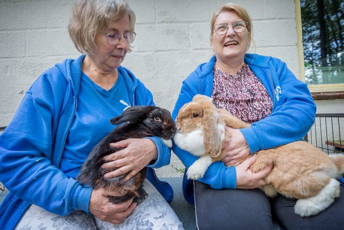 Speeddate voor Manolito (links, bij Janet Hermsen) en Pleun (rechts, bij Nanda Pons) in opvangcentrum K'nijn & Ko.