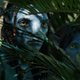 We kunnen allemaal de boom in met Avatar: The Way of Water, de nieuwe film van James Cameron