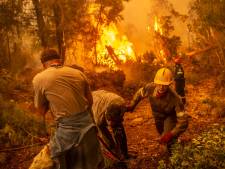 Bosbranden in Griekenland zetten door: al 90.000 hectare verwoest