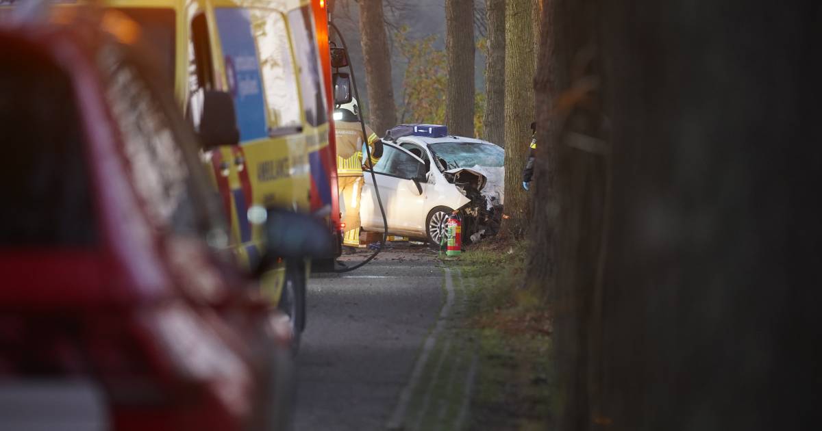 Man (20) overlijdt bij botsing tegen boom bij Olst, voetbalclub in Schalkhaar rouwt: ‘We zijn gescho
