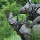 Magazine: Dieren in nesten