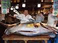 Un thon vendu 1,5 million d’euros au Japon