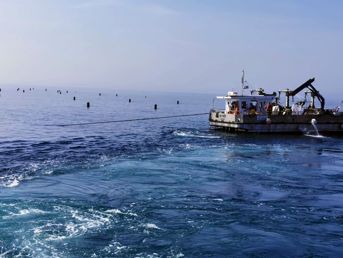 De mosselboerderij waarin Krijn Verwijs deelneemt in Lyme Bay in het zuidoosten van Engeland.
