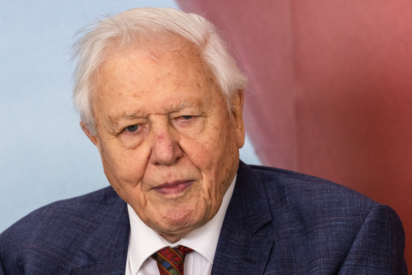 David Attenborough maakt weer nieuwe natuurserie voor BBC Foto AD.nl