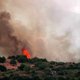Zware bosbrand op Grieks eiland Evia zorgt voor dikke rook in Athene