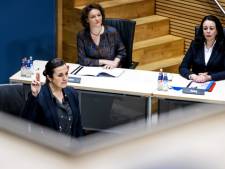 Eindhovense advocaat beschrijft zes jaar strijd, verdriet en onmacht tijdens verhoor over toeslagenaffaire