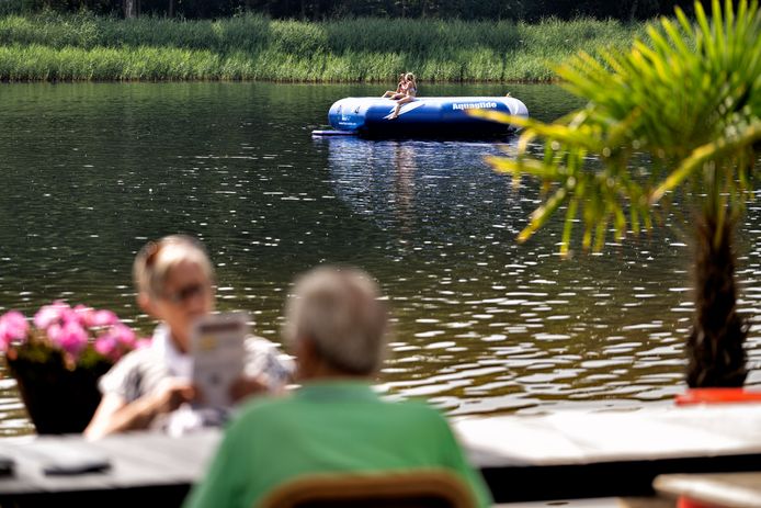 Reuring bij de Langspier