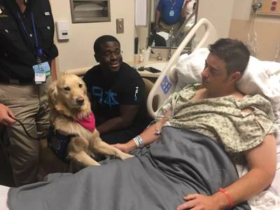 Zachte viervoeters troosten getraumatiseerde slachtoffers Vegas