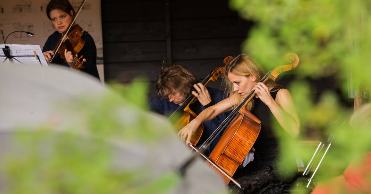 Openlucht en livestream: Internationaal Stiftfestival in Weerselo gaat ondanks corona gewoon door - 