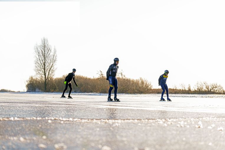 null Beeld Photo News