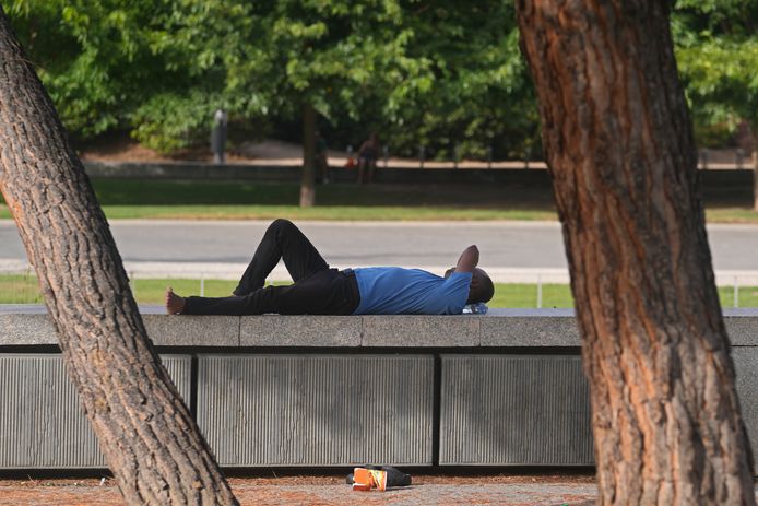Un homme est allongé à l'ombre sous des arbres à Madrid, Espagne, mercredi 11 août 2021.